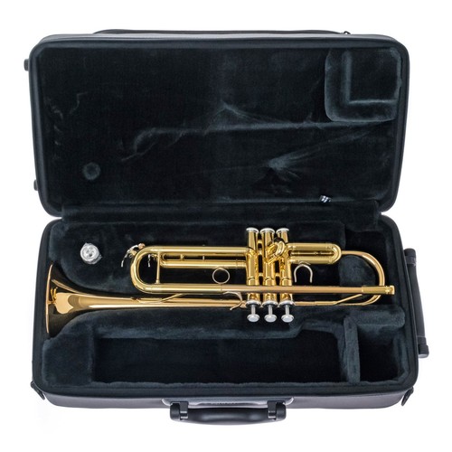 Tromba yamaha nuova ytr - yamaha,