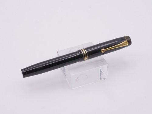 Penna stilografica parker - stilografica,