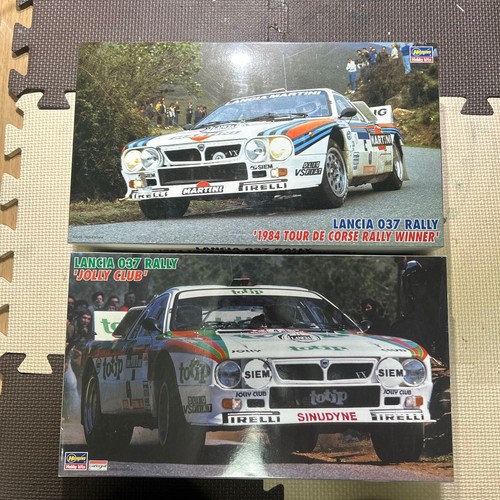 Set pezzi hasegawa 24 - set,
