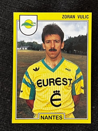 Vignette sticker panini foot - sticker,