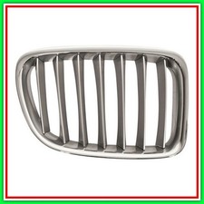 Griglia Radiatore