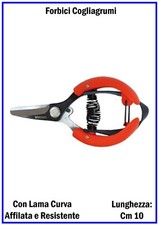 Forbici Cogliagrumi per