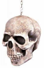 WIDMANN 6883C teschi con