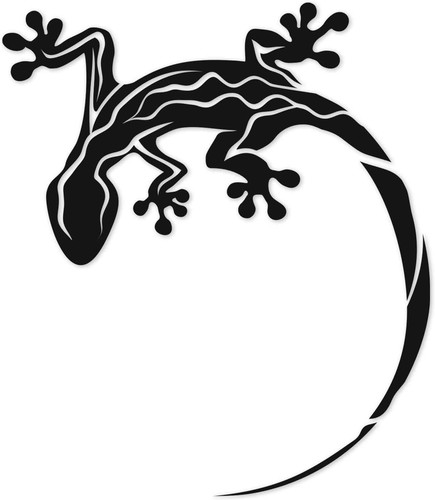 Adesivo gecko 10 - x, cm