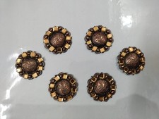 Set di conchiglie rotonde