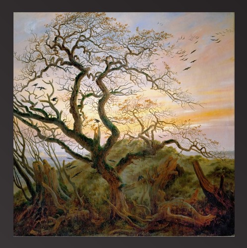 The tree crows caspar - by,