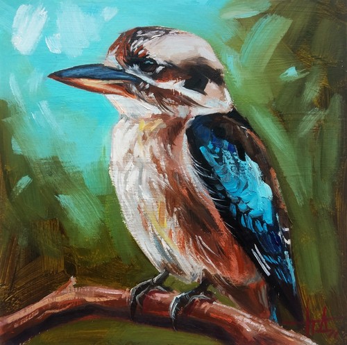 Quadro originale kookaburra - quadro,