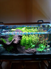 Acquario Completo 140 Lt 