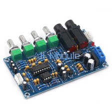 NUOVO PT2399 AC 12V Doppio