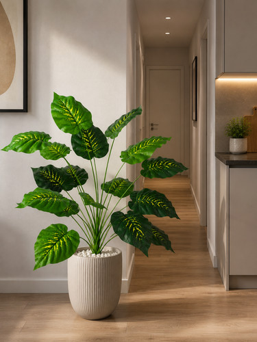 Pianta dieffenbachia - pianta,