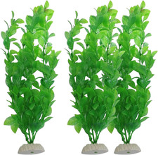 Bellissimo Set Di Piante Da