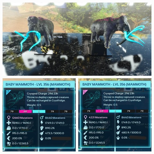 Ark ascended pve coppia - ark,