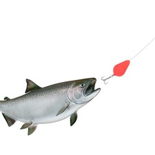  10 Pcs Attrezzatura Pesca