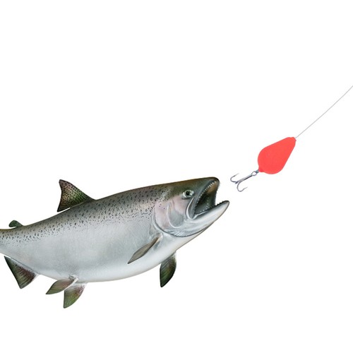 Pcs attrezzatura pesca - 10,
