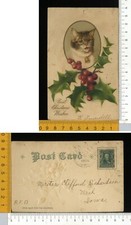 V4330] AUGURALE BUON NATALE - AGRIFOGLIO E GATTO CON COLLARE - RILIEVO 1906