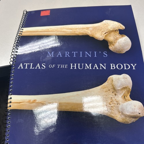 Atlas the human body by - the,