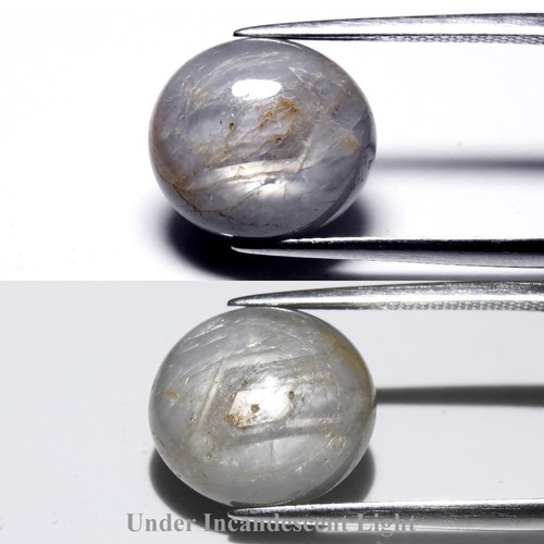 Zaffiro ovale cabochon - 💎,