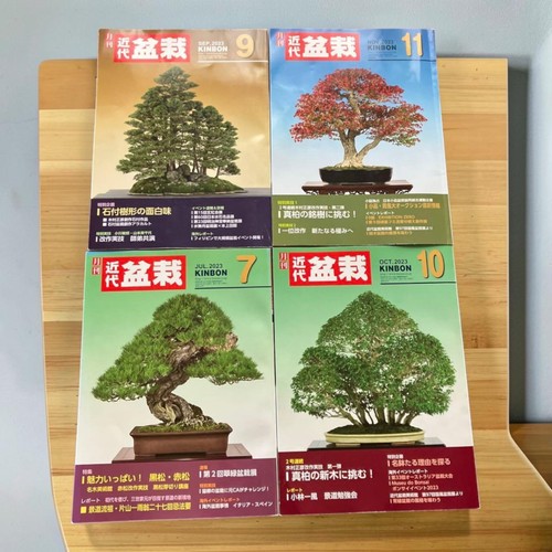 Modern bonsai 2023 - modern,