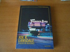 romanzo-CALDO IN INVERNO-JOE R.LANSDALE-1°ed.il giallo MONDADORI 2020-sc.75