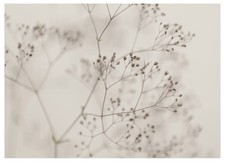 IKEA BJORKSTA Quadro su tela di fiori primo piano dimensioni 140x100 cm 405.789.14