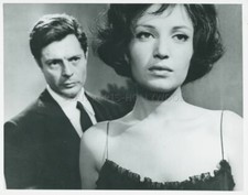 MARCELLO MASTROIANNI MONICA VITTI LA NOTTE ANTONIONI 1961 PHOTO ORIGINAL #32