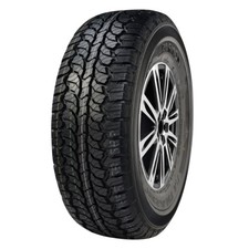 Gomme estive compasal - gomme,