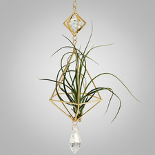 Portapiante ad aria da