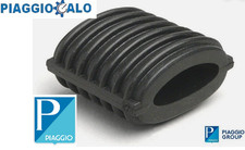 241004 GOMMINO PEDIVELLA