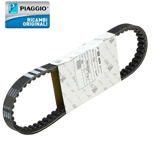 Cinghia trasmissione - trasmissione, +