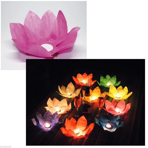 Fiore loto lanterna - fiore,
