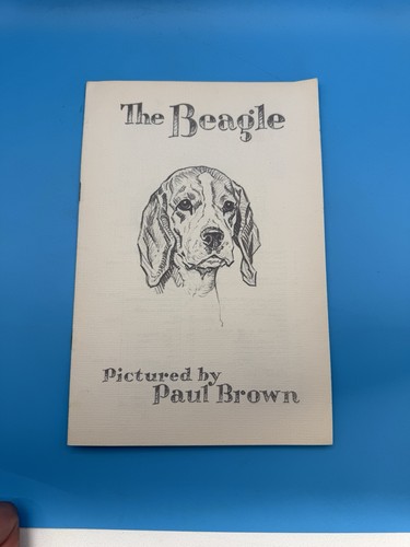 The beagle paul - the,