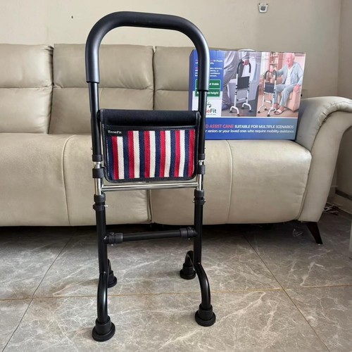 Stand assist quad - assist,