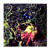 GILARDI Piero (Torino 1942), Prugne con zucca 1997