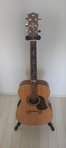 Maton ebg808te mg3341 - maton,