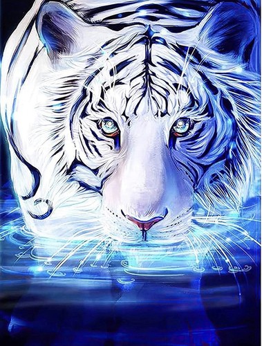 Kit pittura diamante tigre - kit,