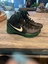 Nike Zoom Hyperdunk 2011