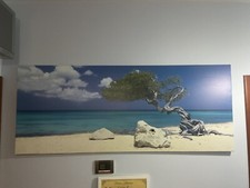 quadro stampa su tela