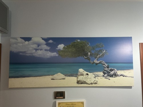 Quadro stampa tela - stampa,