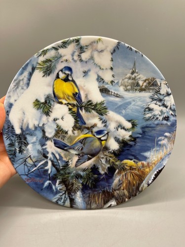 Uccellini inverno piatto a - uccellini,