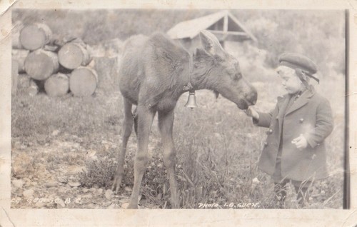 Vintage rppc adorabile - vintage, rppc: