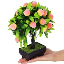 Bonsai finti di - bonsai,