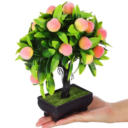 bonsai pesco