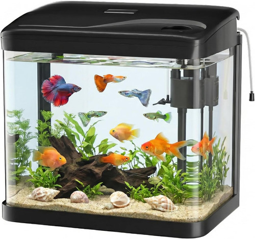 Acquario vetro 10 - vetro,
