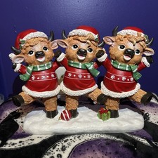 Polo Nord Sud Adorabile