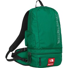 SS22 Supreme The North Face