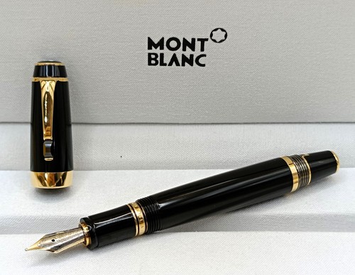 Penna stilografica premium - penna,