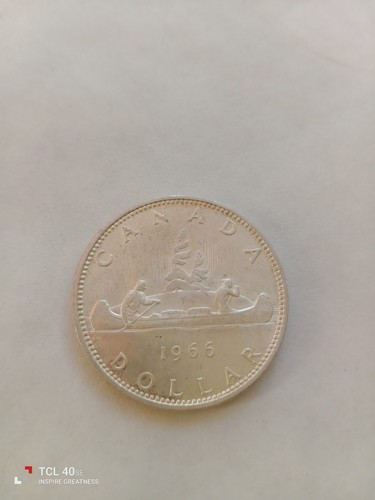 Moneta argento dollaro - moneta,