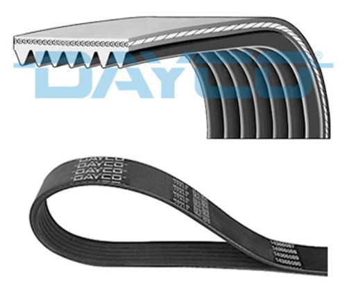 Cinghia trapezoidale 7pk2872 - cinghia,