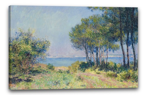 Tela cornice claude monet - tela/cornice,
