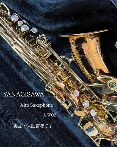 Sassofono contralto yanagisawa - sassofono,